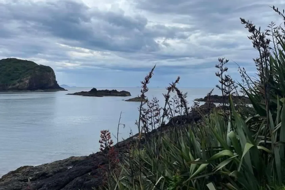 Sailing Camp Tutukaka