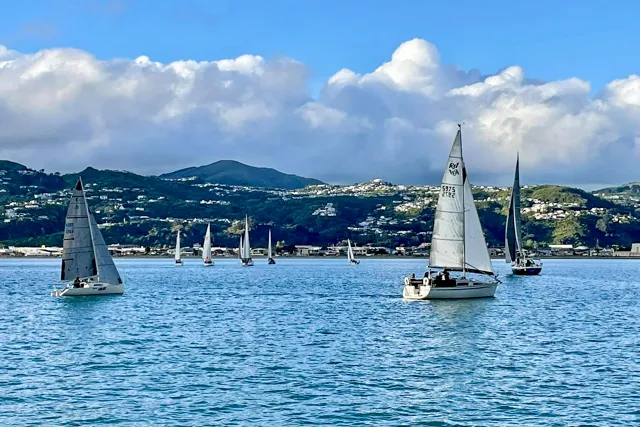 Lowry Bay Yacht Club